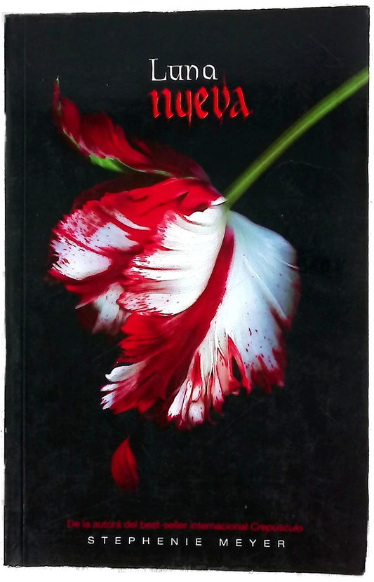 Luna nueva