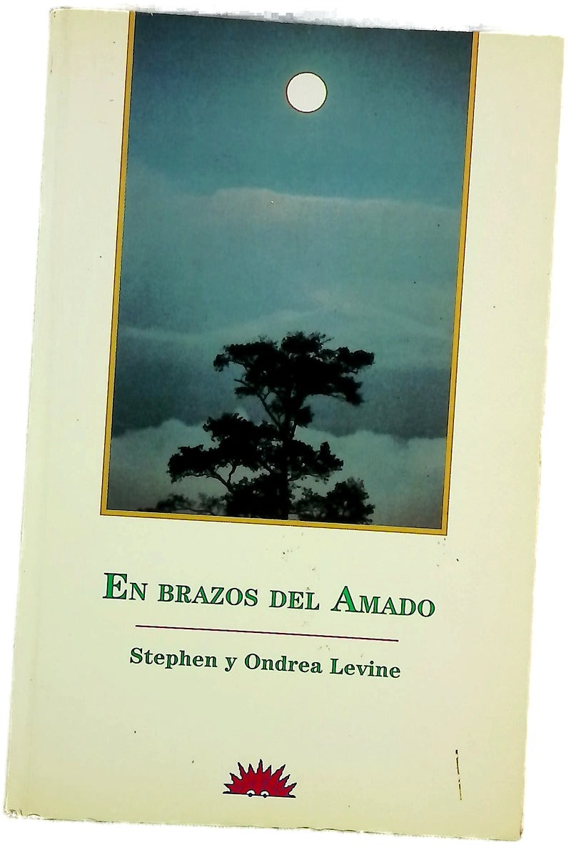 En brazos del amado las relaciones amorosas como camino de sanación