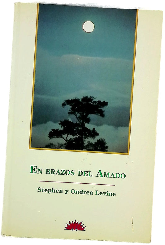 En brazos del amado las relaciones amorosas como camino de sanación