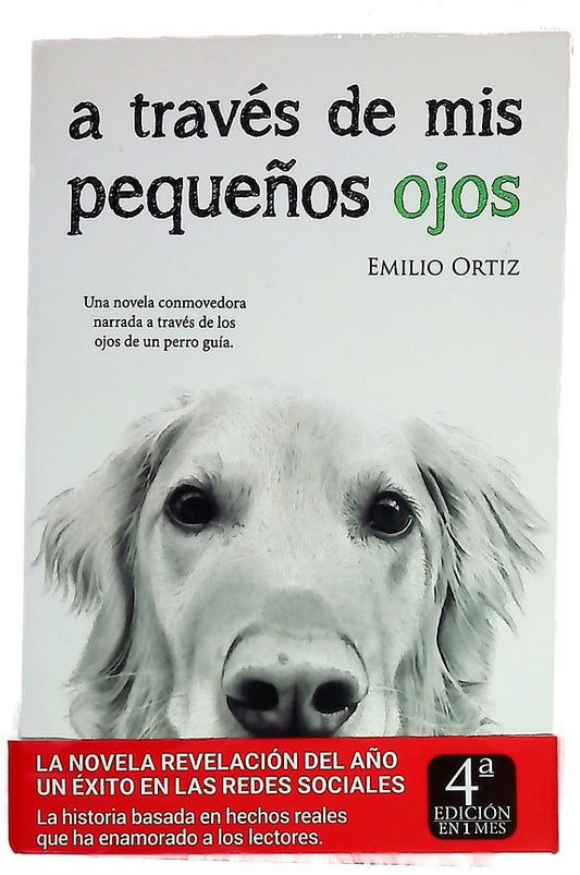 A través de mis pequeños ojos