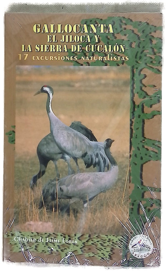 Gallocanta, el Jiloca y la sierra de Cucalón