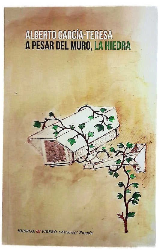 A pesar del muro, la hiedra