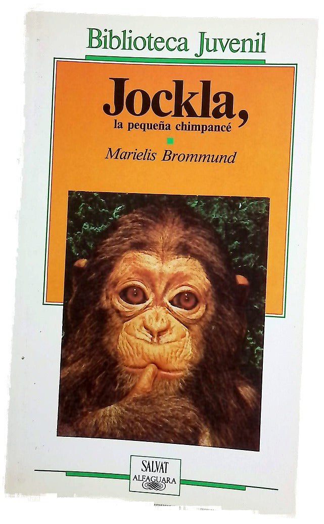 Jockla, la pequeña chimpance
