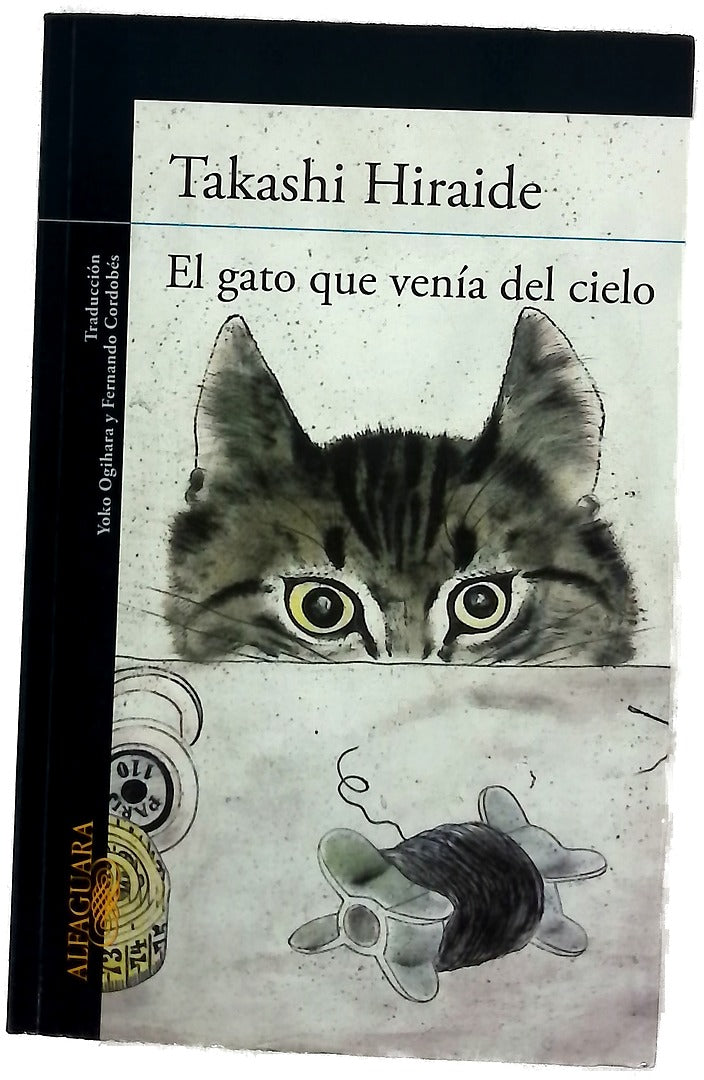 El gato que venía del cielo