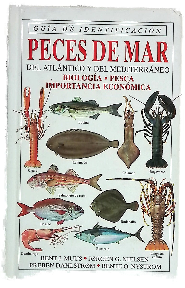 Peces de mar del atlántico y del mediterráneo. Guía de Identificación