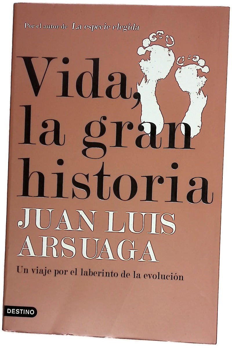 Vida, la gran historia : un viaje por el laberinto de la evolución