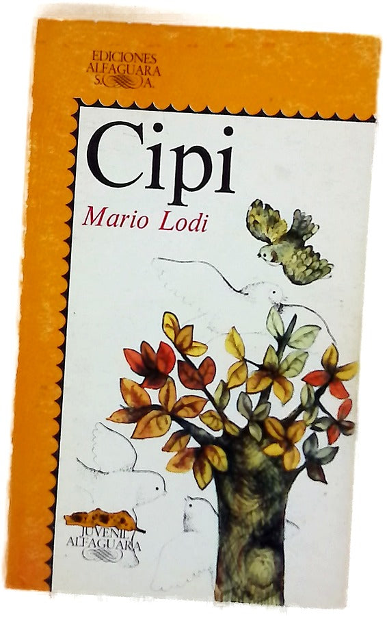 Cipi