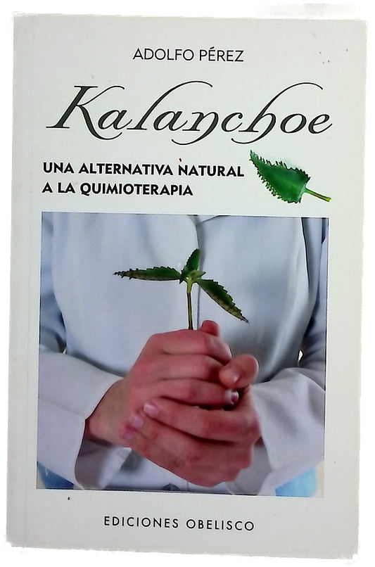 Kalanchoe : una alternativa natural a la quimioterapia