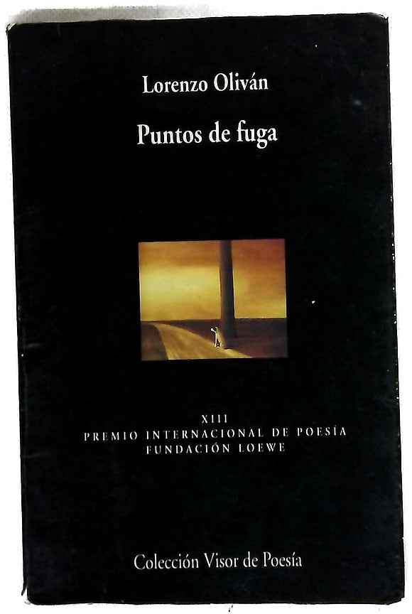 Puntos de fuga (1996-2000)