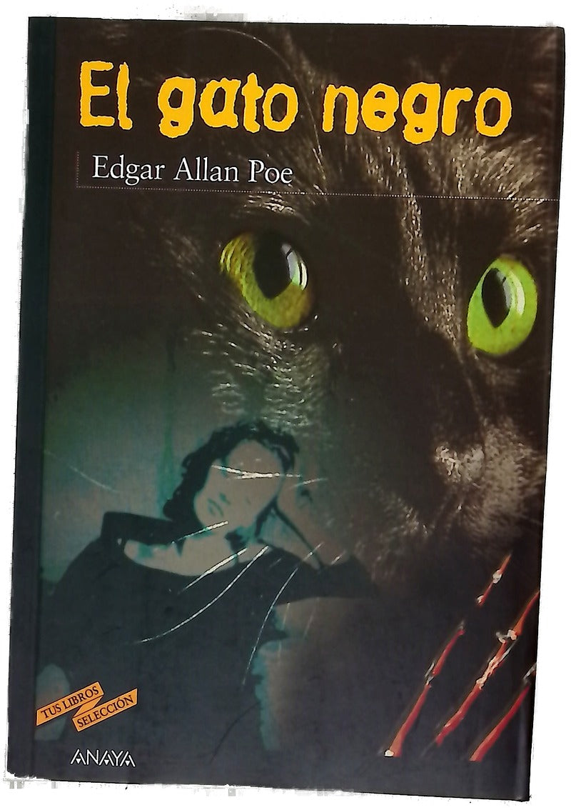 El gato negro