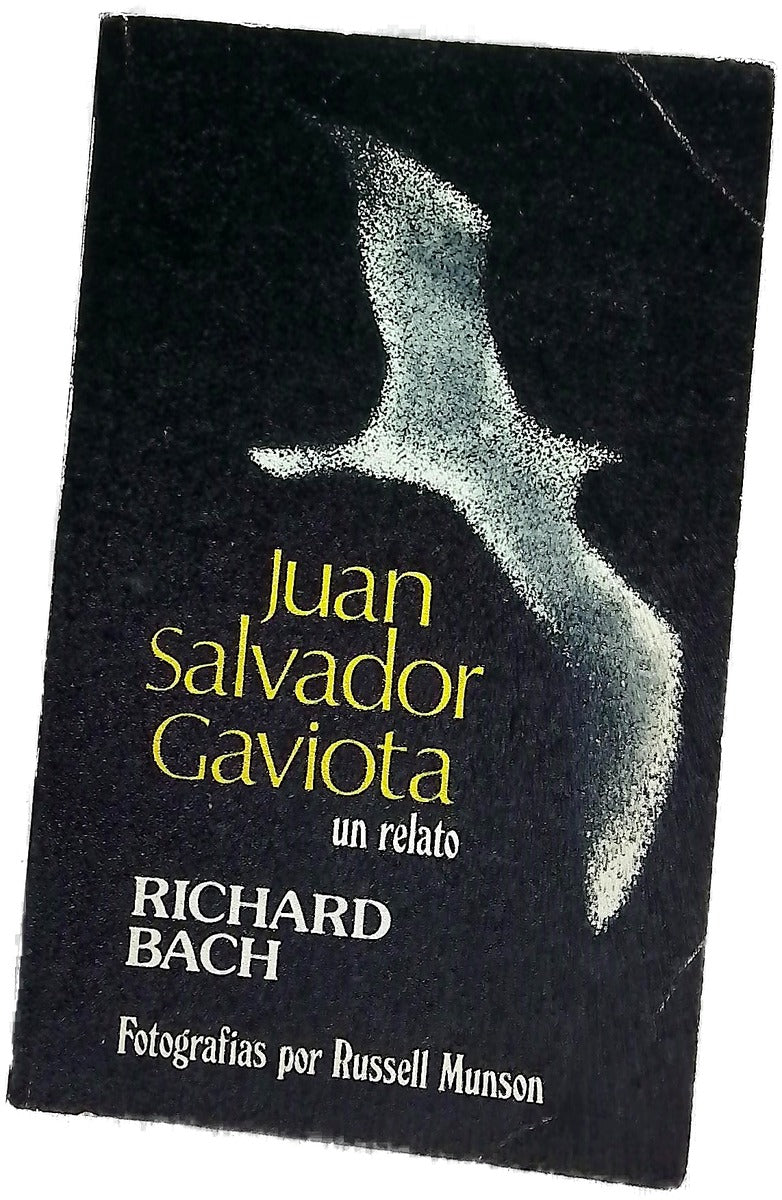 Juan Salvador Gaviota
