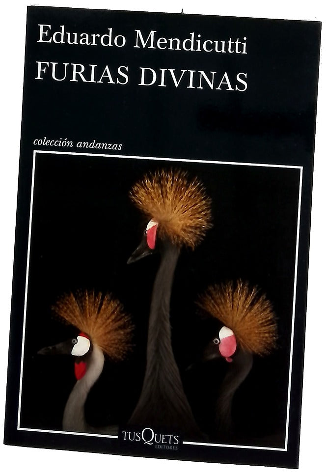 Furias divinas