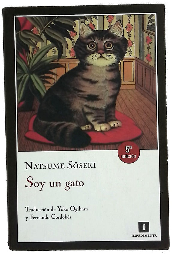 Soy un gato