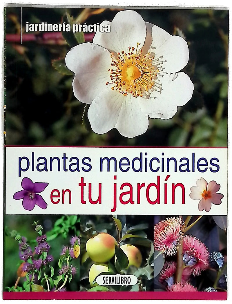 Plantas medicinales en tu jardín