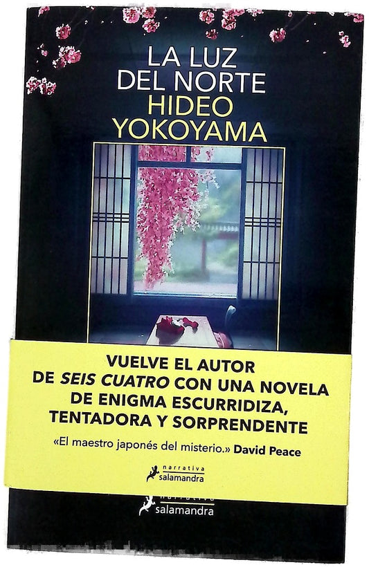 La luz del norte