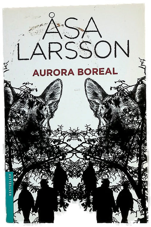 Aurora boreal