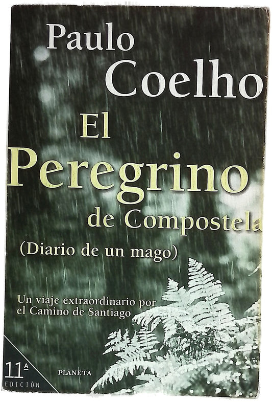 El peregrino de Compostela (diario de un mago)