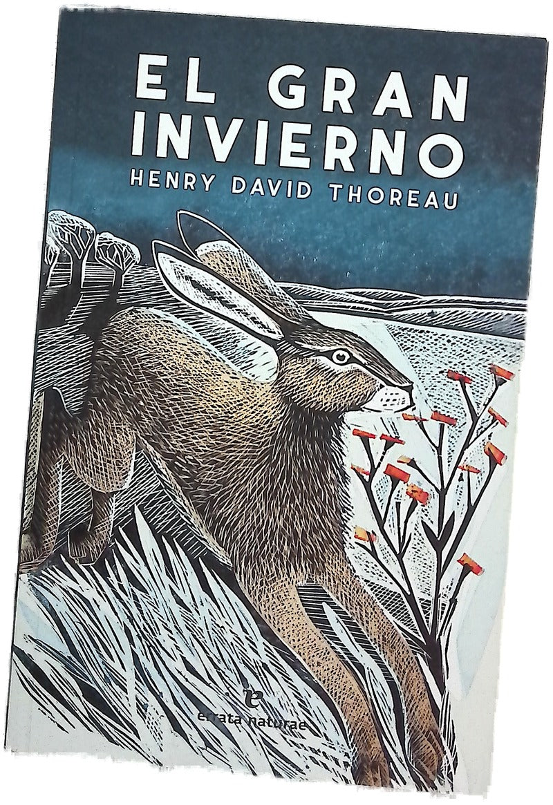 El gran invierno