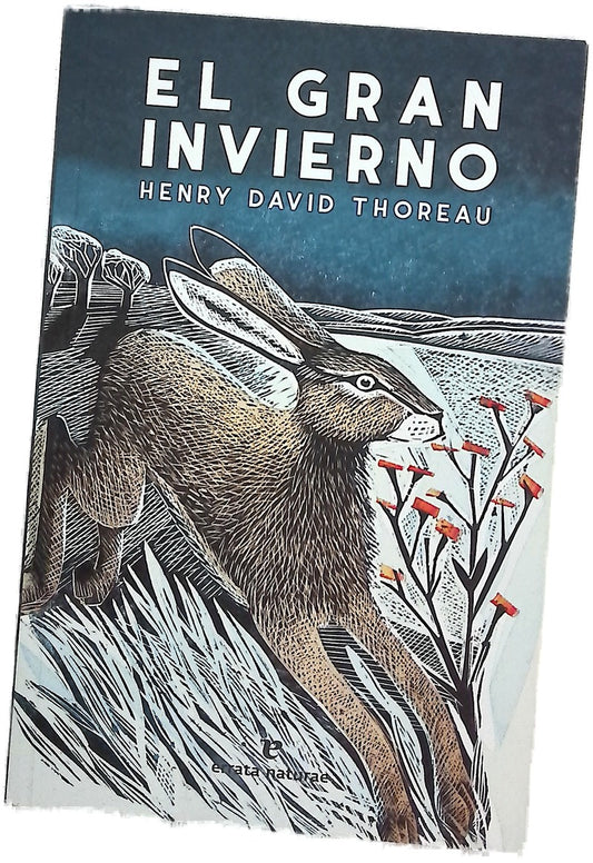 El gran invierno