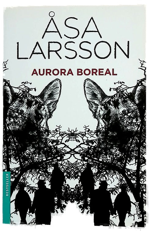 Aurora boreal